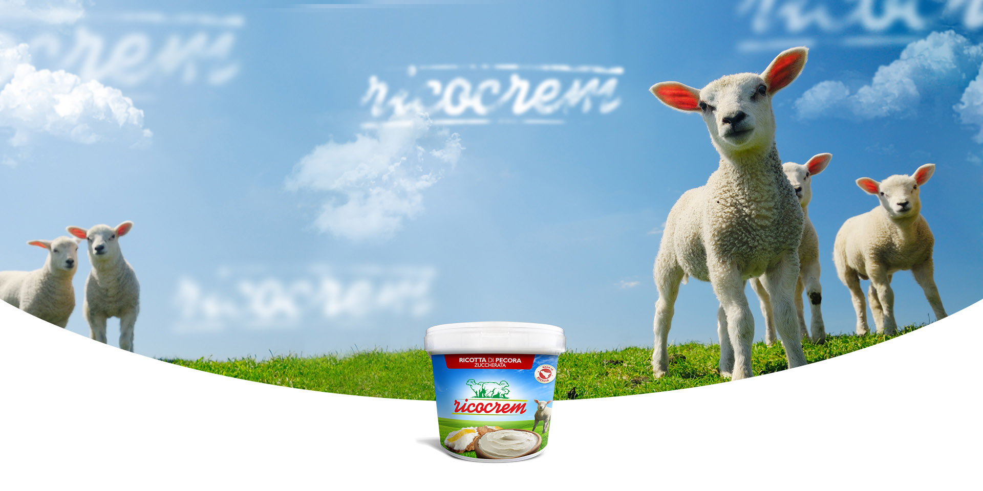 Sheep ricotta cream for dessert pastry ricocrem